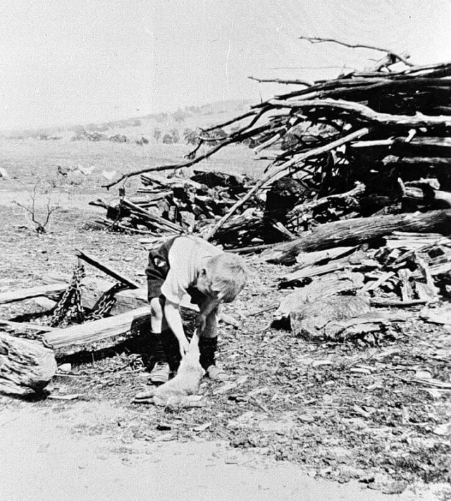 Children at work – Old Treasury Building